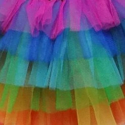 Sydney So Sweet Rainbow 6 Layer Tutu Skirt Costume For Girls, Women, Plus Tutu & Costume Shop