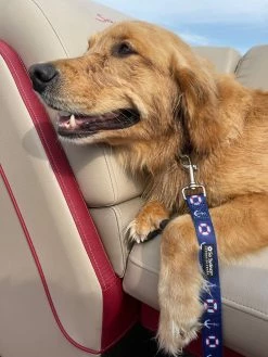 Sydney So Sweet Patriotic Anchor Yacht Club Boat Collection Fashion Dog Collar