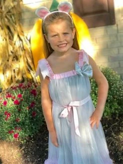 Sydney So Sweet Mouse Costume, Deluxe Girls Or Toddler Chiffon Dress Mouse Halloween Dress Up Costumes For Kids