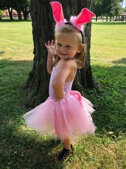 Sydney So Sweet Costumes For Kids Girls Pink Pig Costume - Complete Kids Costume With Pink Tutu, Tail, & Ears