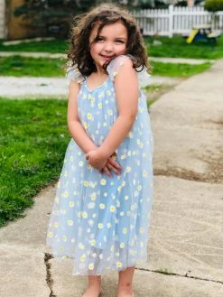Sydney So Sweet Light Blue Daisy Tulle Girls Flutter Sleeve Summer Dress