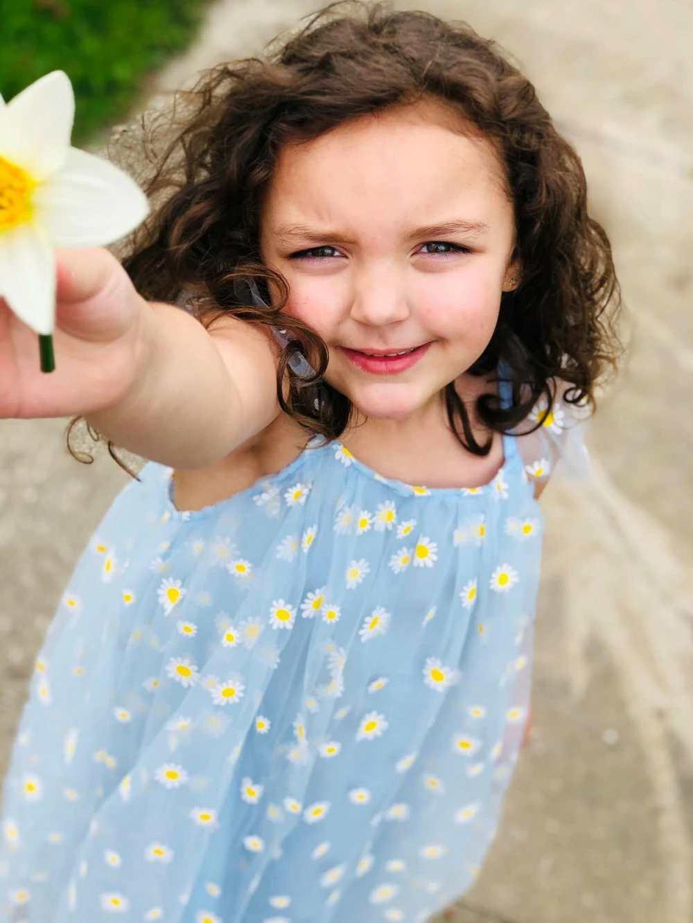 Sydney So Sweet Light Blue Daisy Tulle Girls Flutter Sleeve Summer Dress 3 Sydney So Sweet Light Blue Daisy Tulle Girls Flutter Sleeve Summer Dress