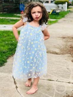 Sydney So Sweet Light Blue Daisy Tulle Girls Flutter Sleeve Summer Dress 8 Sydney So Sweet Light Blue Daisy Tulle Girls Flutter Sleeve Summer Dress