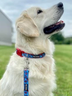 Sydney So Sweet New England Crab Blue & Red Comfy Dog Collar Sweet Pup
