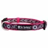 Sydney So Sweet Hot Pink & Black Daisy Floral Fashion Cute Dog Collar On Wednesday, We Wear Pink
