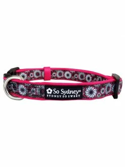 Sydney So Sweet Hot Pink & Black Daisy Floral Fashion Cute Dog Collar On Wednesday, We Wear Pink