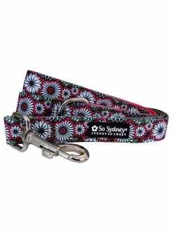 Sydney So Sweet Hot Pink & Black Daisy Floral Fashion Cute Trendy Dog Leash On Wednesday, We Wear Pink