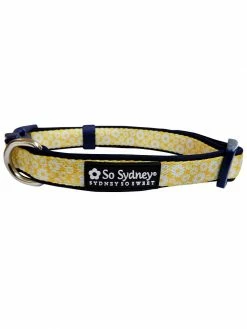 Sydney So Sweet Floral Favorites Daisy Floral Yellow & Navy Pretty Fashion Dog Collar