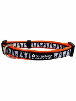 Sydney So Sweet Spooky Ghost Halloween Comfy, Adjustable Holiday Dog Collar