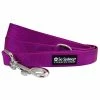 Sydney So Sweet Grape Purple 5' Nylon Dog Leash For Small, Medium, Or Large Dogs