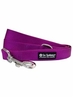 Sydney So Sweet Grape Purple 5' Nylon Dog Leash For Small, Medium, Or Large Dogs