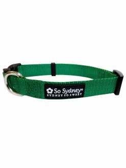 Sydney So Sweet Green Adjustable Nylon Dog Collar For Small, Medium, Or Large Dogs