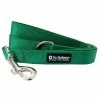 Sydney So Sweet Sweet Pup Green 5' Nylon Dog Leash For Small, Medium, Or Large Dogs