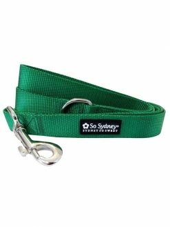 Sydney So Sweet Sweet Pup Green 5' Nylon Dog Leash For Small, Medium, Or Large Dogs