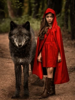 Sydney So Sweet Black & Red Hooded Cape, Superhero Or Princess Reversible Hooded Cloak Costumes For Kids