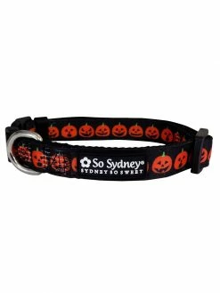 Sydney So Sweet Jack-O-Lantern Halloween Pumpkin Orange & Black Dog Collar Fall
