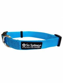 Sydney So Sweet Sweet Pup Light Blue Adjustable Nylon Dog Collar For Small, Medium, Or Large Dogs