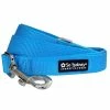 Sydney So Sweet Light Blue Nylon Dog Leash For Small, Medium, Or Large Dogs