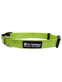 Sydney So Sweet Lime Green Adjustable Dog Collar For Small, Medium, Or Large Dogs