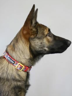 Sydney So Sweet Sweet Pup Superhero Blue Red Yellow Comfy, Adjustable Fashion Dog Collar 5 Sydney So Sweet Sweet Pup Superhero Blue Red Yellow Comfy, Adjustable Fashion Dog Collar