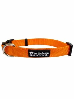 Sydney So Sweet Halloween Orange Adjustable Nylon Dog Collar For Small, Medium, Or Large Dogs