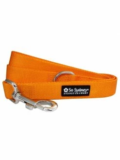Sydney So Sweet Halloween Orange Nylon Dog Leash For Small, Medium, Or Large Dogs