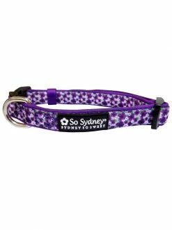 Sydney So Sweet Pansy Purple Floral Cute & Comfy High Fashion Dog Collar