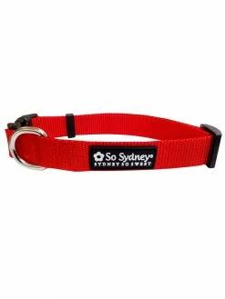 Sydney So Sweet Red Basic Nylon Dog Collar For Small, Medium, Or Large Dogs