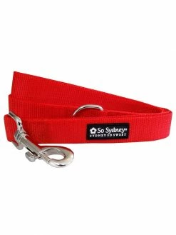 Sydney So Sweet Valentine's Day Red Fashion Basic Nylon Dog Leash For Small, Medium, Or Large Dogs