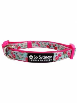 Sydney So Sweet Rose Garden Hot Pink Beautiful Floral Adjustable Dog Collar