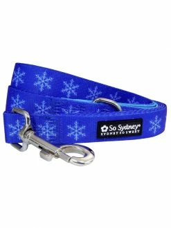 Sydney So Sweet Frozen Winter Snowflake Blue Cute Fashion 5' Dog Leash