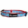 Sydney So Sweet Frosty The Snowman Winter Blue Fashion Holiday Dog Collar Christmas