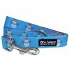 Sydney So Sweet Frosty The Snowman Winter Holiday Blue Trendy 5' Dog Leash