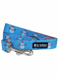 Sydney So Sweet Frosty The Snowman Winter Holiday Blue Trendy 5' Dog Leash