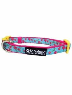 Sydney So Sweet Tulip Hot Pink Floral Blue Springtime Fashion Dog Collar On Wednesday, We Wear Pink