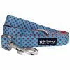 Sydney So Sweet Light Blue & Red Polka Dots Bright & Cute Unique Dog Leash Sweet Pup