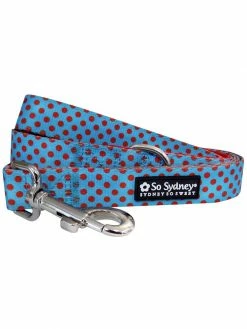 Sydney So Sweet Sales Store 25 Sydney So Sweet Light Blue & Red Polka Dots Bright & Cute Unique Dog Leash Sweet Pup