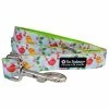 Sydney So Sweet Floral Favorites Tweet Birds Green & Blue Fun & Bright Summer Dog Leash