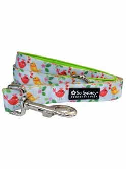 Sydney So Sweet Floral Favorites Tweet Birds Green & Blue Fun & Bright Summer Dog Leash