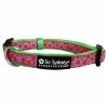 Sydney So Sweet Watermelon Sugar Pink & Green Fun Fashion Dog Collar
