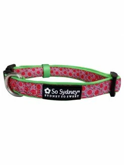 Sydney So Sweet Watermelon Sugar Pink & Green Fun Fashion Dog Collar