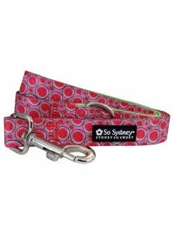 Sydney So Sweet Watermelon Tutti Fruiti Fun Pink & Green Nylon Dog Leash On Wednesday, We Wear Pink