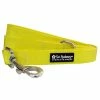 Sydney So Sweet Yellow Basic Nylon Dog Leash For Small, Medium, Or Large Dogs